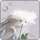 头文字d